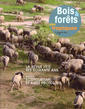 Bois et forêts des tropiques N° 291 - 1er trimestre 2007 : écotourisme et aires protégées